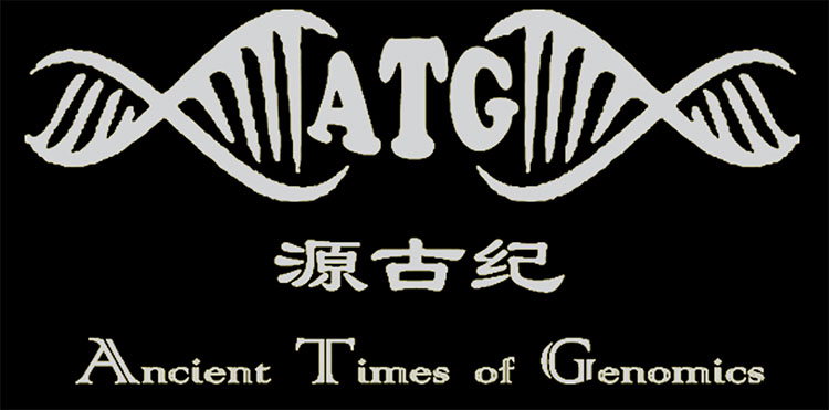源古纪2